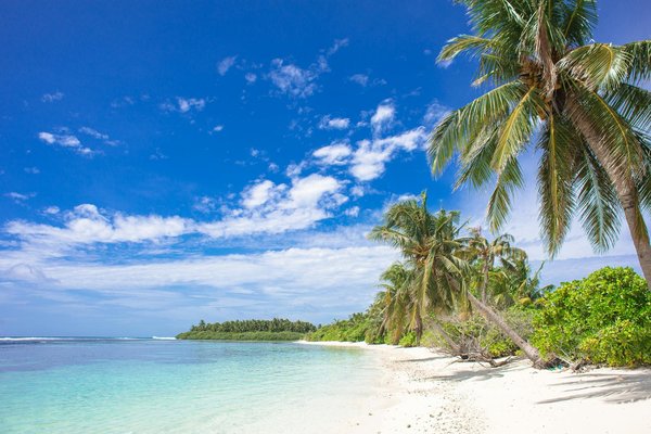 Les bases de l'entraînement au combat : un guide pour les débutants